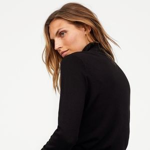 Fine Knit Turtleneck Sweater
